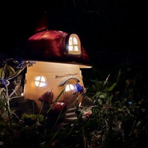 Toadstool Fairy Nightlight